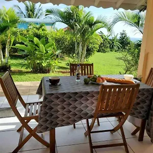 Bel T2 Avec Vue Sur Palmier Et Appartement